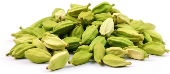 Poster - A close up shot displaying green cardamom pods isolated on a white background with copy space available for text or images It represents a spices food and cooking concept