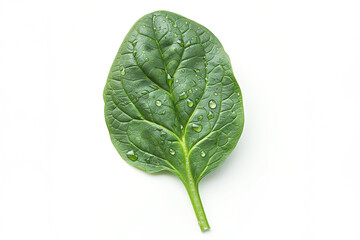 Poster - Green one spinach leave with water splash flying on white background. Fresh herb concept.