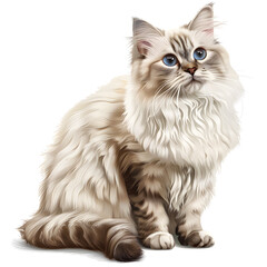  Clipart illustration of ragamuffin cat breeds on a white background. Suitable for crafting and digital design projects.[A-0001]