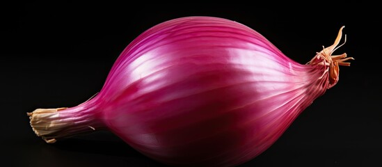 Poster - A red onion with no background show on it so called a copy space image