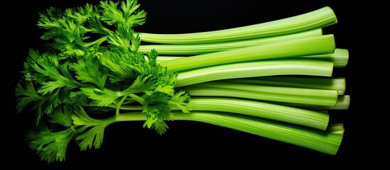 Poster - Celery sticks arranged on a black background for a copy space image