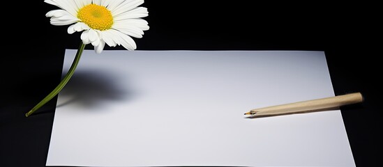 Canvas Print - An empty sheet of paper a pen and a daisy all with space for copying images