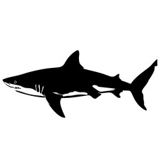 Wall Mural - Basking Shark silhouette, Basking Shark icon vector illustration