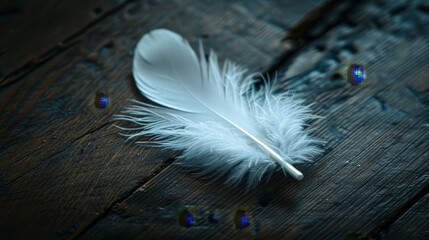 Poster - A soft focus image of a white feather on a dark wooden floor
