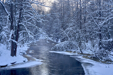 Wall Mural - River in a winter landscape with snowy trees and branches