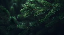 Green Pine Tree Branches. Generative AI.