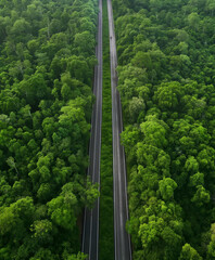 Wall Mural - aerial view asphalt road and forest