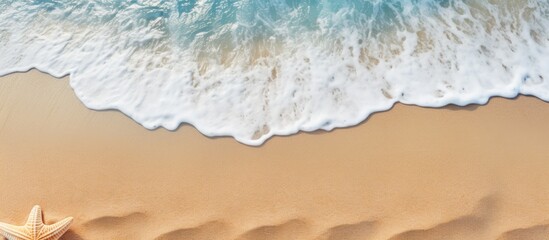 Copy space image of a tropical beach background with a blurred shell sea star and palm tree This top view flat lay captures the essence of a relaxing vacation and travel The minimalistic and exotic c