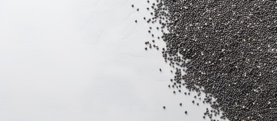 A flat lay photograph featuring a pile of chia seeds on a light grey table with copy space for text