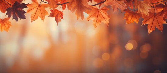 a fall themed background with orange leaves perfect for conveying the essence of autumn offers plent
