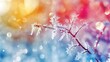 © antkevyv - Branch tree covered with frost snow with blurred colorful background