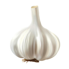 Canvas Print - Stylized digital illustration of a glossy white garlic bulb