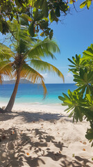 Wall Mural - palm tree on the beach