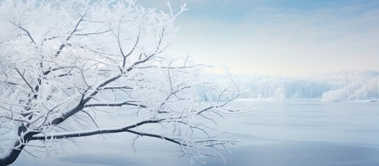 Poster - tree branches with hoar frost. copy space available