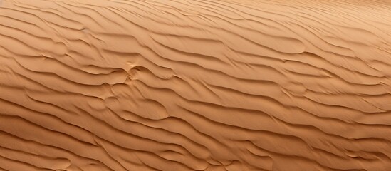 Poster - Sand Texture Brown sand Background from fine sand Sand background. copy space available