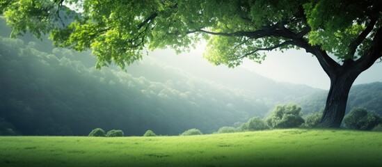 Poster - green nature for background or wallpaper. copy space available