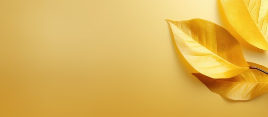 Poster - Shiny yellow leaf gold foil texture background. copy space available