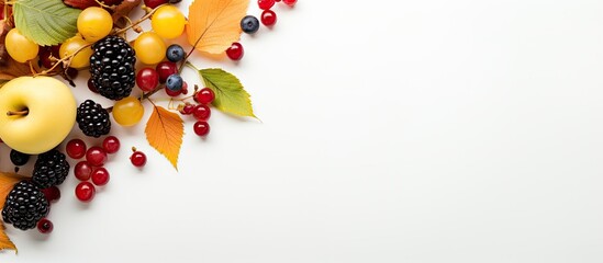 Poster - autumn leaves and fruits and berries on a white background hello autumn layout for design with place for text. copy space available