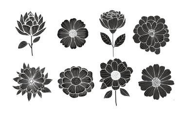 Wall Mural - Flowers collection, isolated on white background. Flowers vector icons in flat and linear design. Flowers in a row on white background. Vector illustration