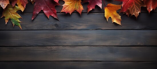 Poster - autumn leaves on a background of dark boards. copy space available