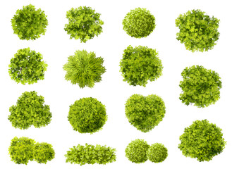 Wall Mural - vector set of top view green tree for outdoor plan or map and architecture drawing, elements for env