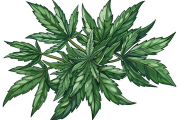 Poster - Fresh green plant leaves on a clean white background. Perfect for botanical designs
