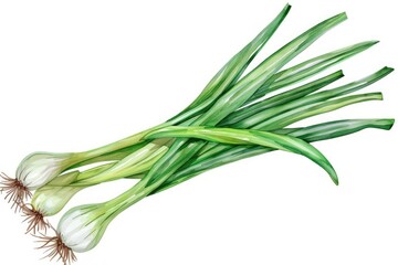 Poster - A bunch of green onions on a clean white surface. Perfect for food and cooking concepts