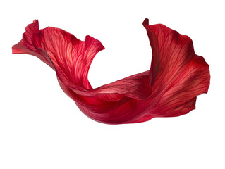 a red flower petal floating cut out transparent isolated on white background png file artwork graphi