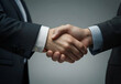 © Venuja - Two businessmen shake hands