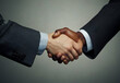 © Venuja - Two businessmen shake hands
