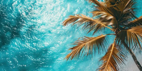 Wall Mural - palm tree branch with sea background