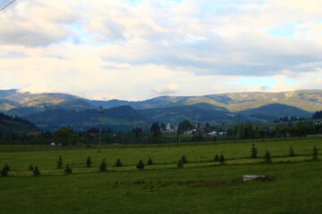 A landscape with trees and mountains in the background