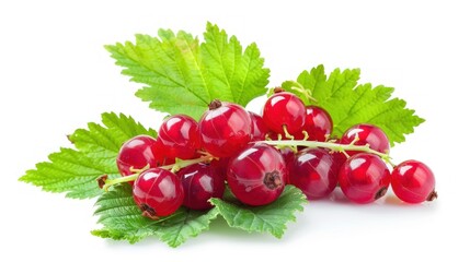 red currant with green leaves isolated on white background