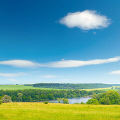 Wall Mural - bright summer pasture with fresh grass