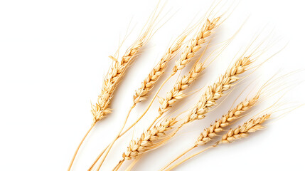 Wall Mural - wheat ears isolated on white