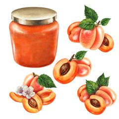 Wall Mural - Glass jars sealed with gold, silver, bronze lids contain apricot jam. Watercolor illustration for template design of sweet harvest, summer fruits, juices, canned food, marmalade and sweets