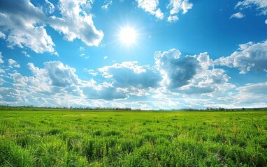 Vast green meadow under a vibrant blue sky with fluffy clouds.