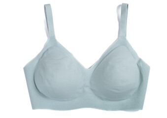 Wall Mural - top view light blue bra for women on white background