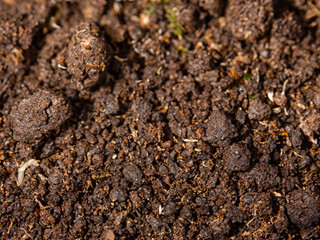 Wall Mural - soil texture background, top view