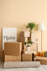 Canvas Print - Cardboard boxes, picture and houseplants in new living room on moving day