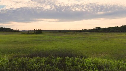 Wall Mural - Drone flying over low country marsh at sunset