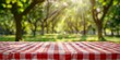 © Duka Mer - A red and white checkered tablecloth covers an outdoor picnic table, set against a blurred background of green trees in the park.