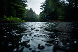Fototapeta Przestrzenne - rain in the woods