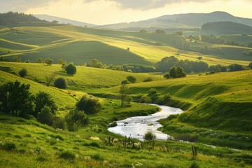 Wall Mural - Rolling Green Hills with Stream at Sunset