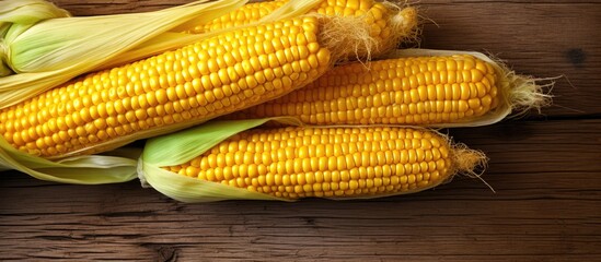 Wall Mural - Fresh yellow corn harvested displayed on a porch in a top down photo with a copy space image
