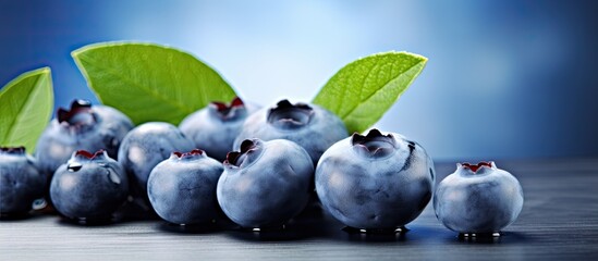 Wall Mural - Fresh blueberries are featured in a healthy eating styled concept with a clear copy space image