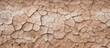 © Ilgun - The parched earth shows cracks void of water with no signs of precipitation resulting in barren lands with no copy space image