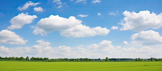 Wall Mural - Scenic view of white clouds against a blue sky above a lush green field on a sunny day ideal for nature or landscape backgrounds with ample copy space image