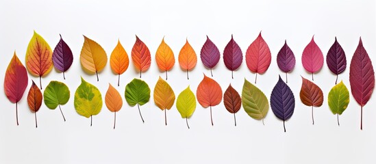 Sticker - a collection of leaves displayed against a white backdrop with space available for text or images ne