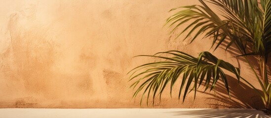 Wall Mural - summer tropical travel beach with minimal concept featuring a brown cream clay mud grunge cement wal